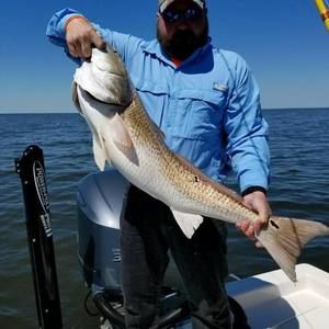 Meet your Posher, Steven